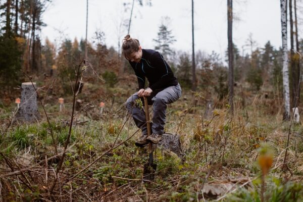 aktion baum pflanzaktion (6)