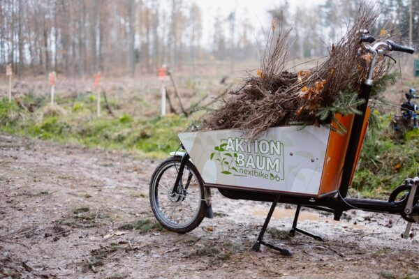 aktion baum pflanzaktion (8)